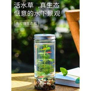 手提生态瓶DIY材料塑料免打理自循环微景观鱼虾水草活体学校K930