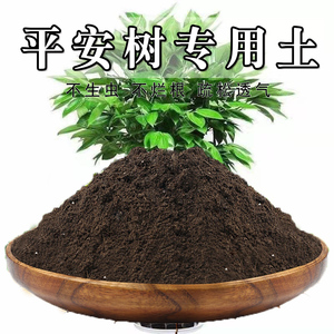 平安树专用土平安树土盆栽营养土通用种花养花泥土壤种植土有机肥