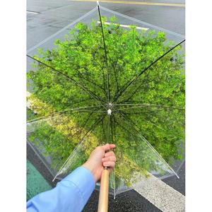 树荫透明伞绿荫伞印花伞折叠雨伞长柄直杆伞枫叶雨伞樱花雨伞