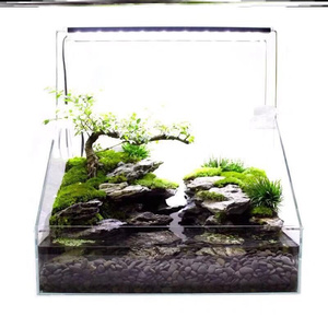 水陆缸 超白玻璃鱼缸 植物造景 客厅桌面家用生态微景观斜口 龟缸