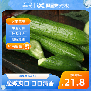 【数乡宝藏】水果黄瓜4.5斤新鲜生吃小黄瓜整箱包邮a