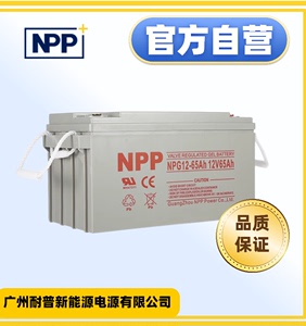 NPP太阳能胶体蓄电池12v100ah家用大容量200安65A电瓶ups房车路灯