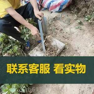 脱自动收神器扒拨机拔打工具脱粒机脱家用机器摘拔收获花生摘果扯