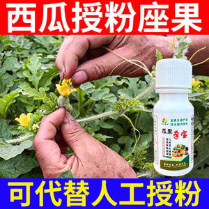 西瓜专用肥料甜瓜香瓜授粉坐果精非药南瓜增瓜灵受粉坐果灵座果精