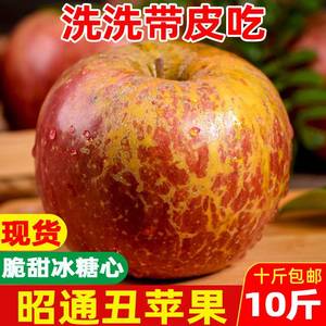 苹果水果新鲜冰糖心2023整箱野生脆甜邵通现摘10斤云南昭通丑苹果