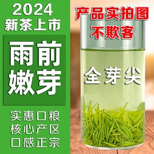 毛尖茶叶信阳毛尖2024新茶雨前一级嫩芽浓香型耐泡型散装250g绿茶