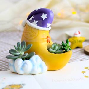 -diy micro landscape simulation childhood cartoon moon succu