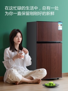 高档小冰箱家用迷小型出租房宿舍用迷你一级节能省电静音经济型电