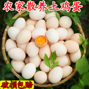 士鸡蛋新鲜土鸡蛋笨鸡蛋农家散养柴蛋黄玉米黄30枚正宗40绿皮绿壳