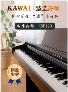 KAWAI卡瓦依电钢琴ES110/ES120/KDP110/KDP120/CN29/CN201卡哇伊