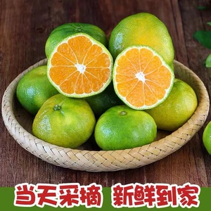 云南早熟蜜桔9斤橘子新鲜水果无籽青皮蜜橘当季小青桔整箱孕妇10