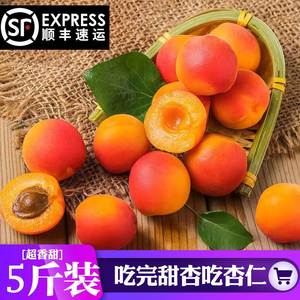山西新鲜红杏贵妃红甜杏现摘时令当季水果甜核杏子/5斤