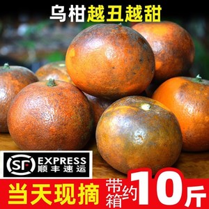 乌柑黑皮沃柑现摘10斤当季新鲜皮薄多汁水果子橙子丑柑橘李子桔。