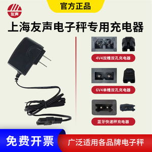 上海友声电子秤正品配件充电器ACS计价台秤4v6V双孔单孔圆孔 充电