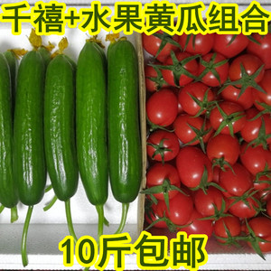 千禧果+水果黄瓜组合10斤 山东小番茄新鲜西红柿蔬菜水果生吃包邮