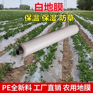 农用白色地膜塑料薄膜保温保湿蔬菜大棚育苗种地种植玉米果园加厚