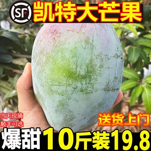 四川攀枝花凯特芒果新鲜10应季斤水果芒果整箱包邮特大青忙果当季