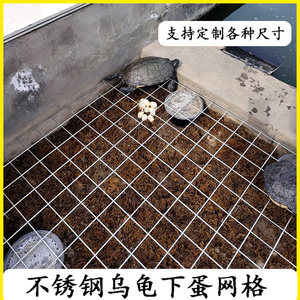 乌龟下蛋网格产蛋池网格