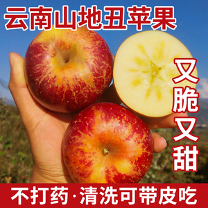 丑苹果云南2023年昭通农家冰糖心甜脆小苹果新鲜孕妇小孩水果5斤