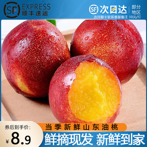 山东黄心油桃5斤新鲜时令孕妇水果当季整箱软桃子脆五月应季精品