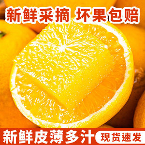新鲜夏橙现摘现发当季水果皮薄手剥橙子酸甜多汁非冰糖橙