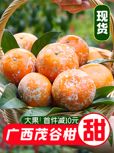 广西武鸣茂谷柑新鲜大果沃柑10斤柑橘桔子石灰柑爆汁水果脏脏柑甜