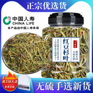 红豆杉叶中药材500克g红豆杉叶子天然干货百年含紫彬醇中草药包邮