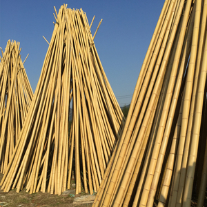 装饰竹竿装修毛竹吊顶隔断竹子防腐竹子粗细干竹子救生竹碳化竹杆