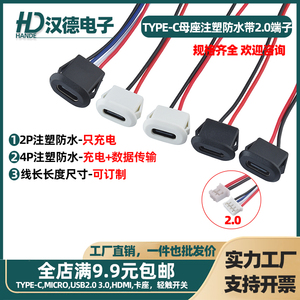 type-c母座注塑防水2P焊线带端子带线USB C口座子防水4P端子线束