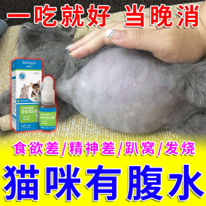 猫传腹特效口服药猫腹水猫咪大肚子腹胀大腹膜炎治疗干湿性消腹水