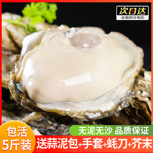连云港生蚝鲜活10新鲜海蛎子5斤海鲜特大牡蛎贝壳即食水产包活