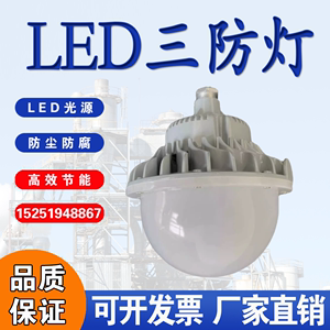 森本照明免维护节能防水防尘防腐灯FGV6215-LED50W护栏平台三防灯