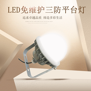 森本照明护栏平台三防灯FGV6215-LED50W免维护节能防水防尘防腐灯