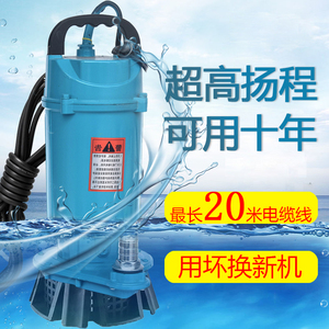潜水泵220V水泵家用小型井水抽水泵高扬程大流量农用灌溉排污水泵