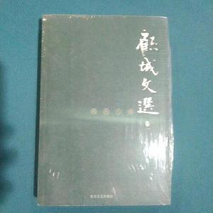 正版图书顾城文选卷一别有天地顾城北方文艺出版社