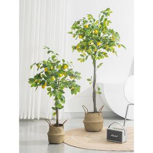柠檬树仿真绿植盆栽大型仿生假绿植装饰客厅室内摆件仿真植物盆景