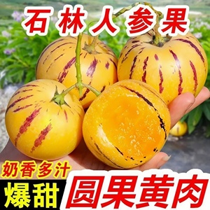 精品树上熟云南石林人参果9斤熟果圆果黄心黄肉当季新鲜低糖水果