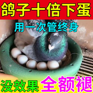 增蛋宝鸽子下蛋神器产蛋药不受精可孵化饲料添加剂催蛋专用产蛋灵