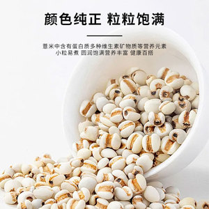 薏米仁100g薏米农家自产新薏仁米正宗小薏米贵州新货薏米五谷杂粮