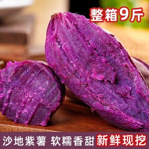 广西沙地紫薯新鲜紫罗兰板栗心农家自种紫番薯地瓜香薯农产品包邮
