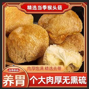 猴头菇养胃汤猴头菇干货 高山农家猴头菇煲汤食材养胃汤料
