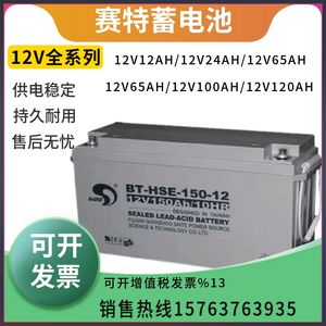 赛特蓄电池BT-12v7A10A14A17A24A33A38A55A65A100AH/消防主机/UPS