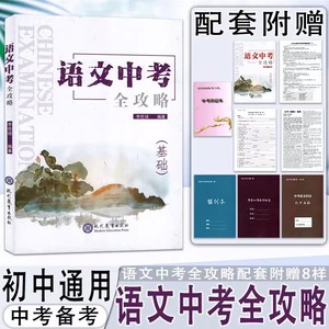 2024新版 语文中考全攻略 中考精编 初中七八年级下册 7年级下册  深圳语文中考总复习基础知识资料 人教版