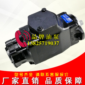 DENISON双联泵T6ECM-072-B14-1R20-C液压泵T6EDM-052-B50-3R03-C1
