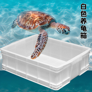 白色养龟过滤箱碗筷收纳箱物流周转箱商超加厚面包箱水果豆腐箱