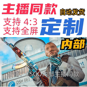 Cs2支持/起源2/5e对战平台/R0对战平台/steam官匹/高端定制/学习