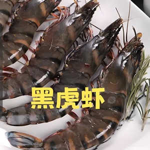 北海海鲜黑虎虾九节虾，当天现捕，满五斤起顺丰包邮发货可以混拍