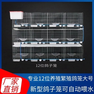 新型鸽子笼可自动喂水多层家养专业12位养殖繁殖鸽笼大号厂家直销