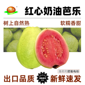 【新鲜速发】广东正宗奶油红心芭乐新鲜包邮5斤大果S级当季水果