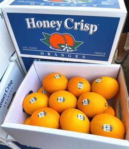 美国新奇士黑标橙3107橙子7斤礼盒装脐橙sunkist进口品种橙子甜橙